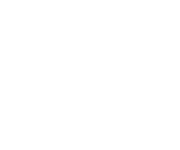 Festival de Cinéma de Saint Paul Trois Châteaux